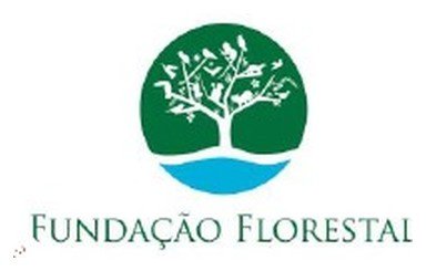 Logo Fundação Florestal